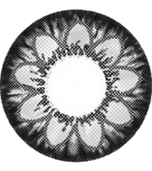 ky开元集团官网