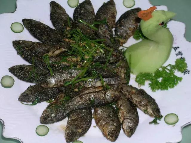 ky开元-青松讲盘：期货行情1月31日操作建议【新年快乐】(图2)