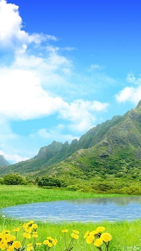 家里Ppr水管漏水怎么处理？‘ky开元集团’(图1)