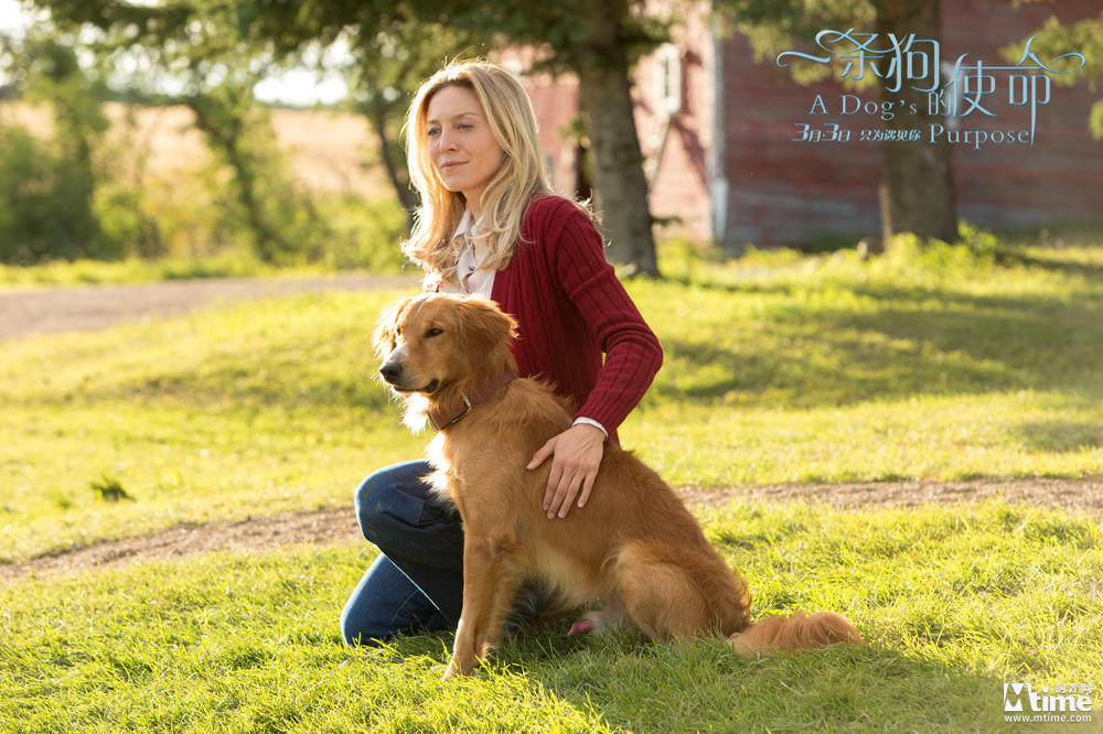 ky开元集团官网