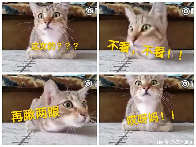 突发:3名工人维护设备时掉落污泥消化池 致2死1伤:ky.com(图4) ky开元集团官网