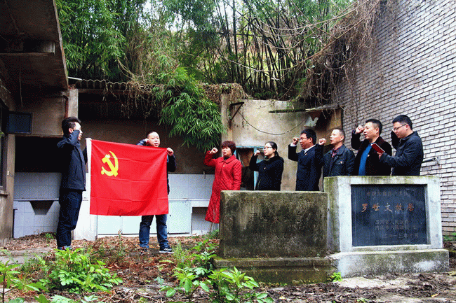 蓬莱松的摆放风水禁忌有哪些？：ky开元(图2)