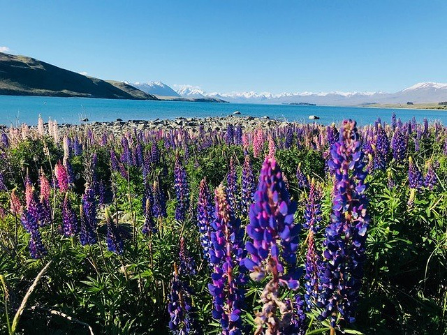 ky开元|不必太担心共享单车的押金问题(图3) ky开元集团官网