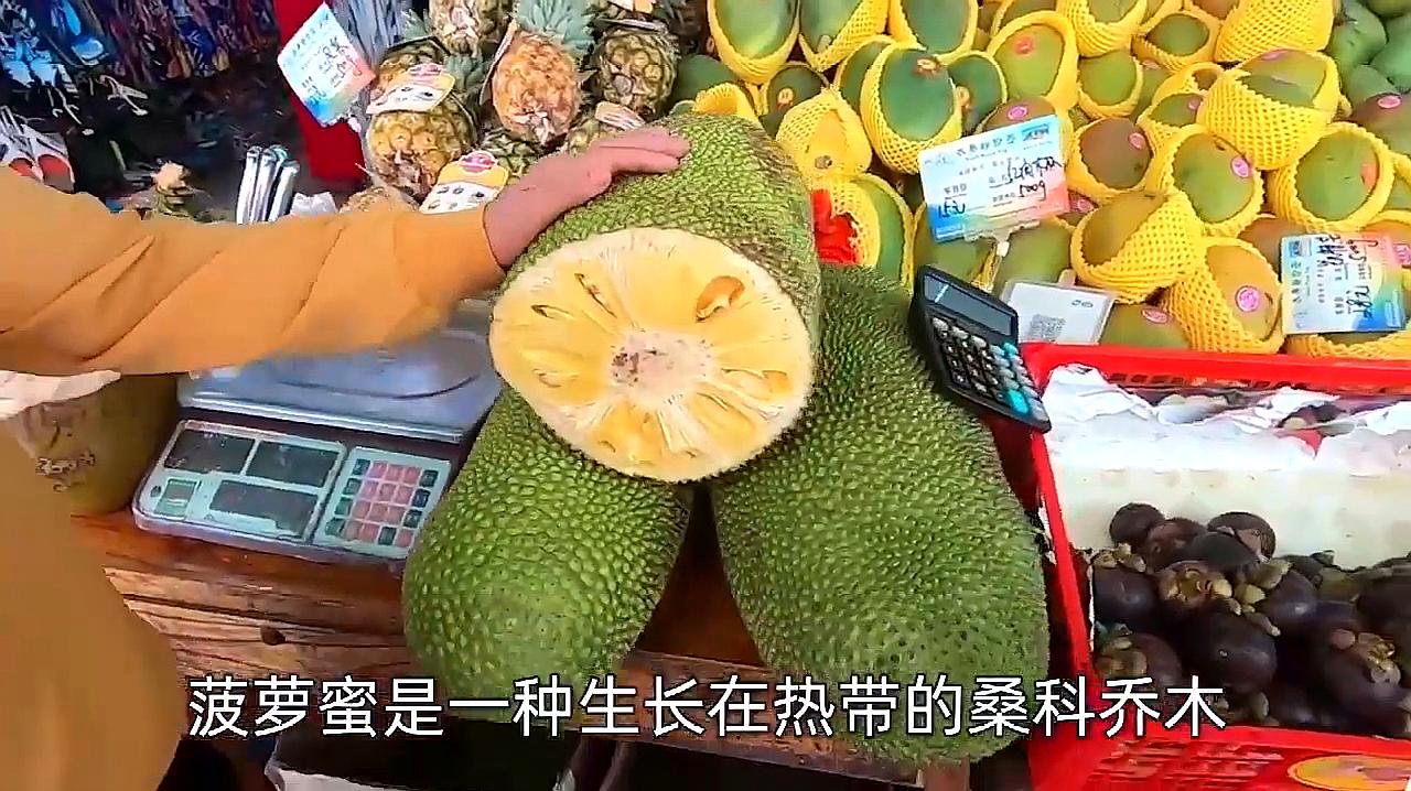 “ky开元集团”隆基股份：预计前三季度净利润34亿元-35亿元 同比增长超100%(图2)