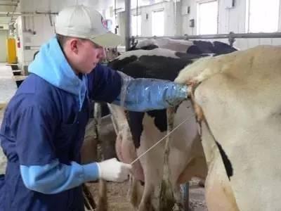 ky开元集团-如何选择客厅灯饰(图1) ky开元集团官网