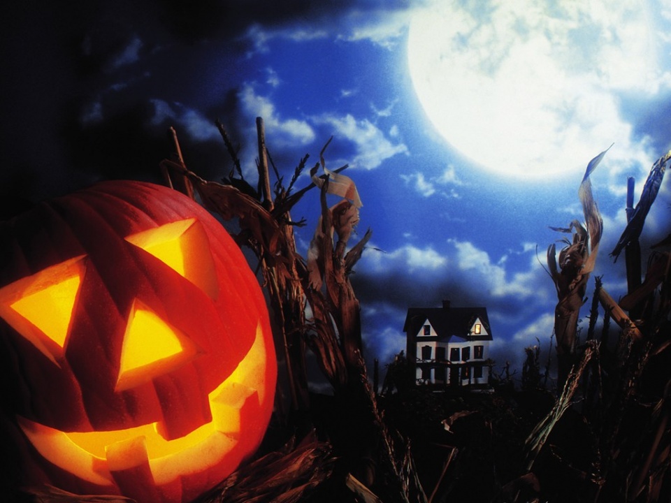 ky开元集团-如何选择客厅灯饰(图4) ky开元集团官网