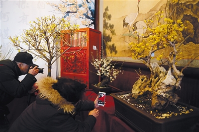 【ky开元集团官网】全国首个自然童书奖颁奖 10大奖项关注生物多样性(图2)