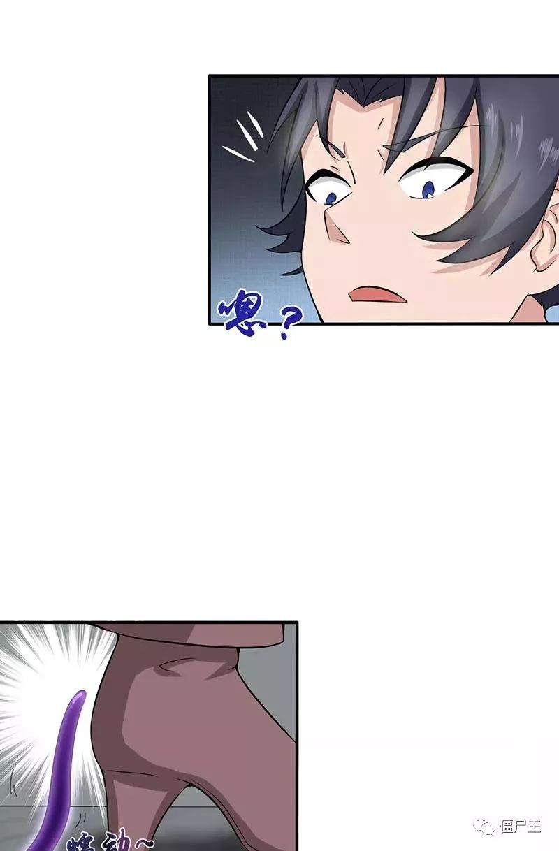 ky开元